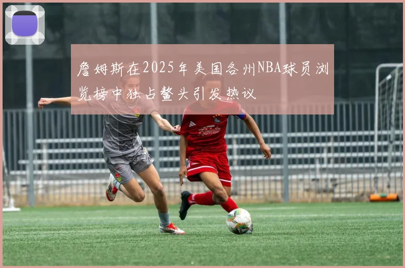 詹姆斯在2025年美国各州NBA球员浏览榜中独占鳌头引发热议