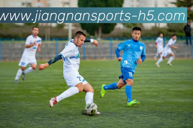 江南体育平台生态图